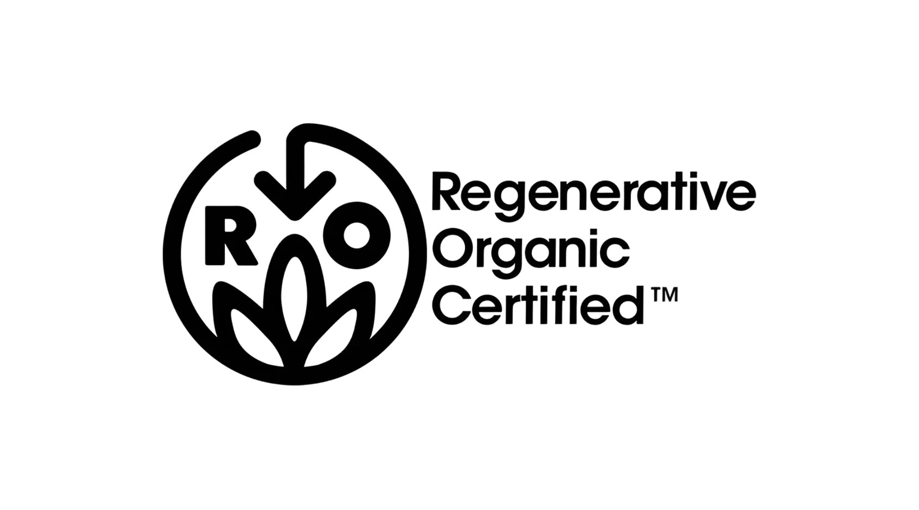 CERTIFICATE-5